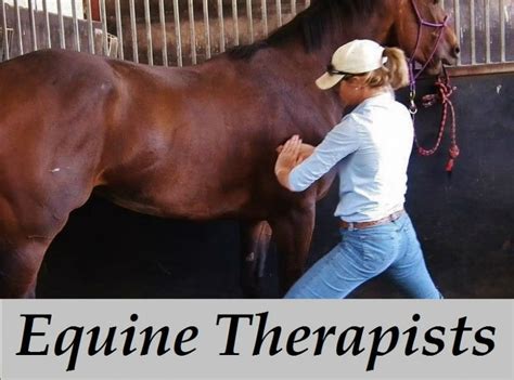 Mobile provider of exceptional bodywork services for the equestrian and equine athlete. . Equine massage therapist near me
